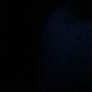 Meet your Posher, Donsha